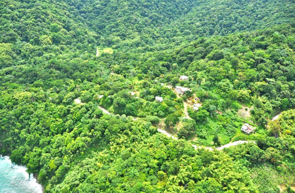 Main Ridge Forest Reserve, Tobago, Trinidad and Tobago